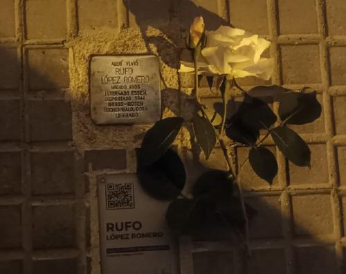 Rufo Torrrecampo