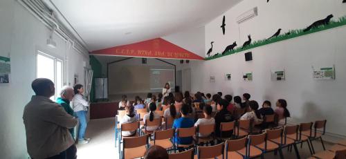 CEIP-Dos-Torres 3