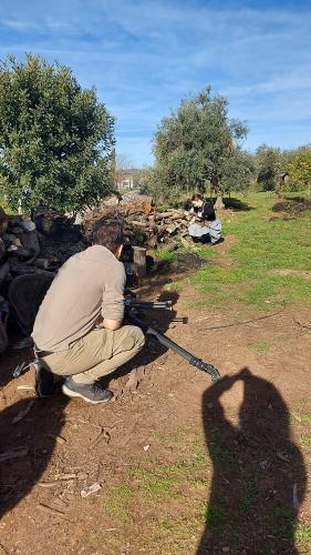 Rodando-1