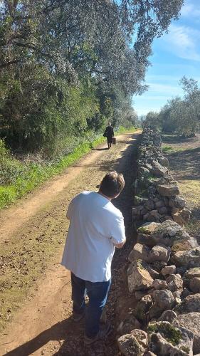 Rodando-4