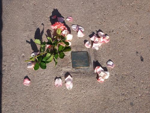 Homenaje-Almodovar-del-Rio 1