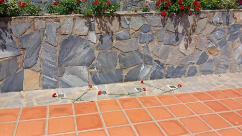 Homenaje-Fuente-Obejuna 4