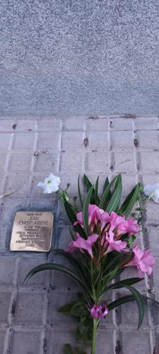 Homenaje-Torrecampo 1