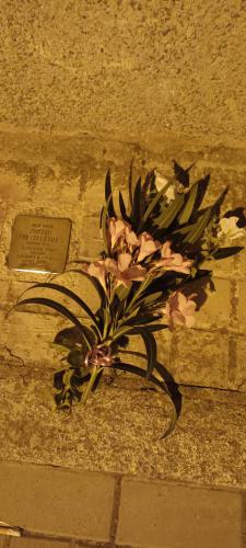 Homenaje-Torrecampo 3