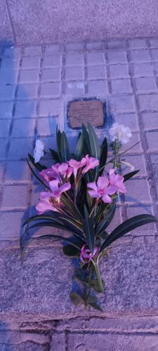 Homenaje-Torrecampo 6